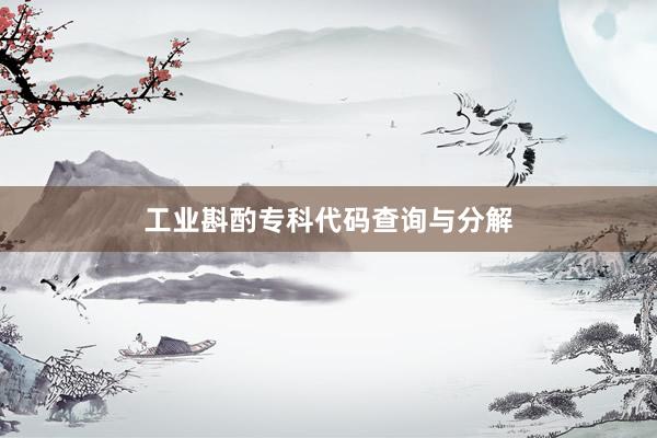工业斟酌专科代码查询与分解